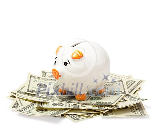 Piggy bank on dollars Piggy bank on dollars
