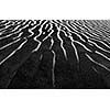 Shadow and light  dunes sand close up on sunrise. Black and white version