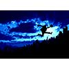 Silhouette of businessman jumping against sunset background