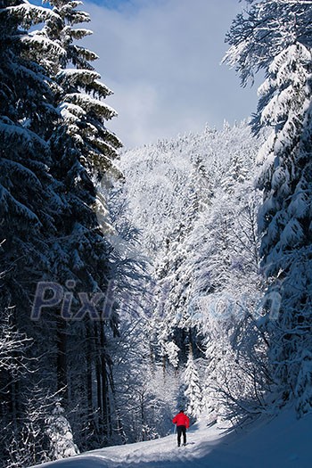 Cross-country skiing: young man cross-country skiing on a lovely sunny winter day Cross-country skiing: young man cross-country skiing on a lovely sunny winter day