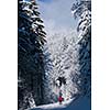 Cross-country skiing: young man cross-country skiing on a lovely sunny winter day