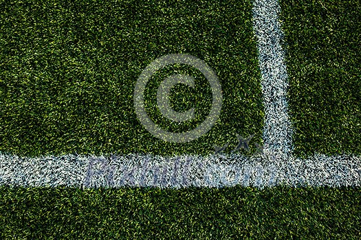 Soccery pitch - well cut grass of a soccer field Soccery pitch - well cut grass of a soccer field