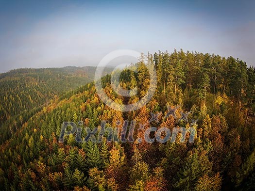 Autumn forest aerial view Autumn forest aerial view