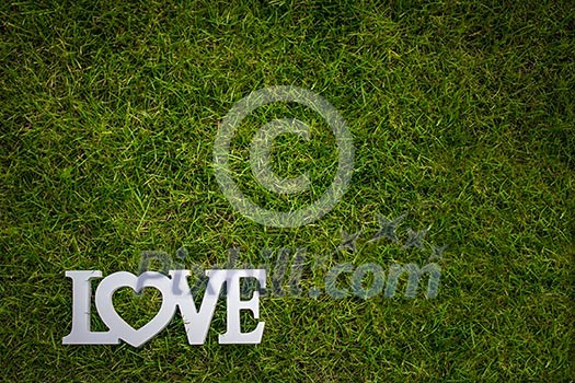 Love is in the air and on the green - Word LOVE lying in lush, well cut grass - Wedding day concept Love is in the air and on the green - Word LOVE lying in lush, well cut grass - Wedding day concept