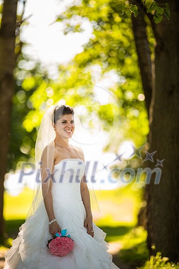 Gorgeous bride on her wedding day (color toned image; shallow DOF) Gorgeous bride on her wedding day (color toned image; shallow DOF)