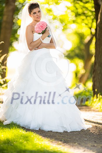 Gorgeous bride on her wedding day (color toned image; shallow DOF) Gorgeous bride on her wedding day (color toned image; shallow DOF)