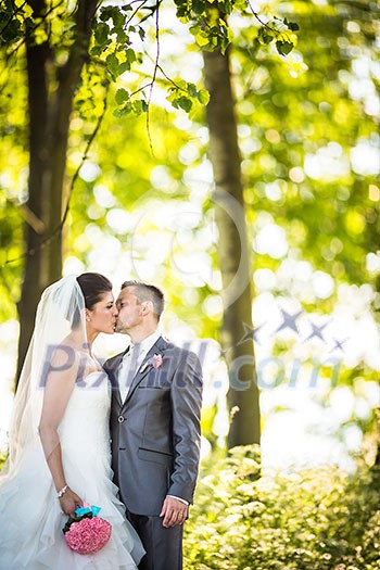 Portrait of a young wedding couple on their wedding day Portrait of a young wedding couple on their wedding day