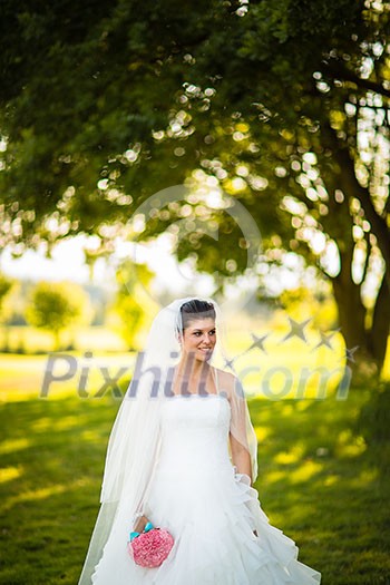 Gorgeous bride on her wedding day (color toned image; shallow DOF) Gorgeous bride on her wedding day (color toned image; shallow DOF)