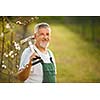 Portrait of a handsome senior man gardening in his garden, on a lovely spring day (color toned image)