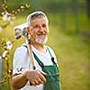 Portrait of a handsome senior man gardening in his garden, on a lovely spring day (color toned image)