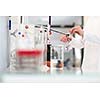 Lab worker's hands while at work at a research center in a lab, carrying out an experiment (shallow DOF; color toned image)