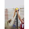 volleyball game sport with group of young beautiful girls indoor in sport arena school gym