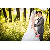 Portrait of a young wedding couple on their wedding day