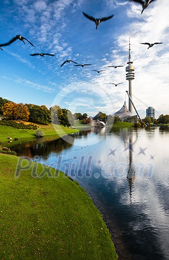 View of stadium in Munich, Germany - Flock of gees flying in sky sky in a formation