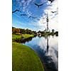 View of stadium in Munich, Germany - Flock of gees flying in sky sky in a formation