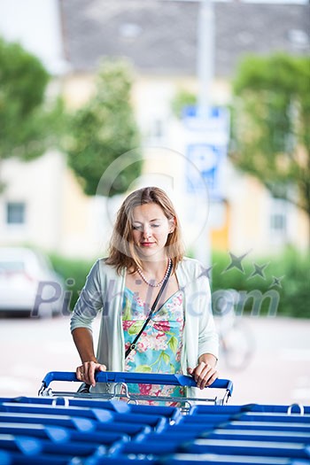 Beautiful young woman going shopping for groceries (color toned image) Beautiful young woman going shopping for groceries (color toned image)