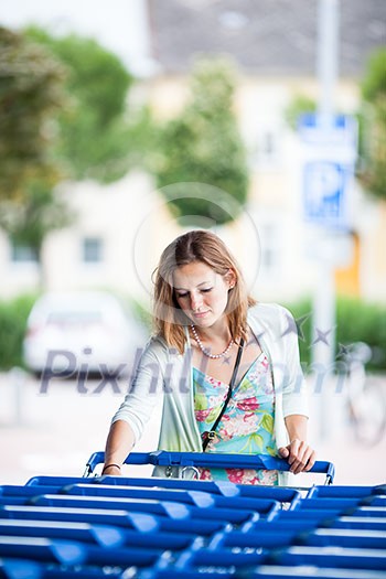 Beautiful young woman going shopping for groceries (color toned image) Beautiful young woman going shopping for groceries (color toned image)