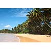 Tropical paradise idyllic beach. Sri Lanka
