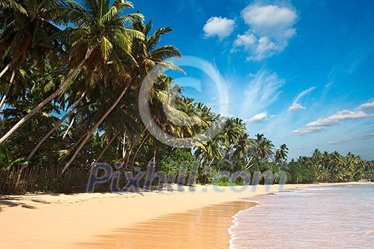 Tropical paradise idyllic beach. Sri Lanka Tropical paradise idyllic beach. Sri Lanka