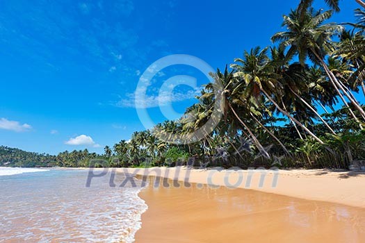 Tropical paradise idyllic beach. Sri Lanka Tropical paradise idyllic beach. Sri Lanka
