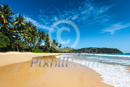 Tropical vacation holiday background - paradise idyllic beach. Sri Lanka Tropical vacation holiday background - paradise idyllic beach. Sri Lanka