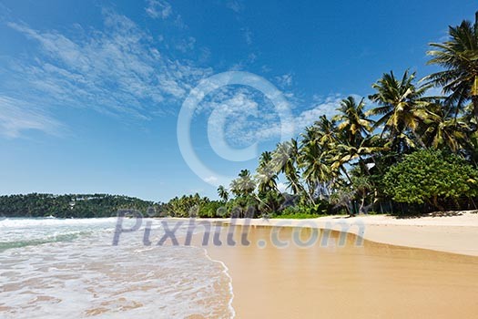 Tropical paradise idyllic beach. Mirissa, Sri Lanka Tropical paradise idyllic beach. Mirissa, Sri Lanka