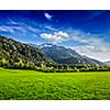 Alpine meadow in Bavarian Alps. Bavaria, Germany