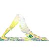 Nature harmony healthy lifestyle concept - double exposure image of  woman doing yoga asana downward facing dog pose adho mukha svanasana exercise isolated on white background