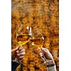 romantic evening date in hotel room, or supper in restaurant, happy couple with wine glass