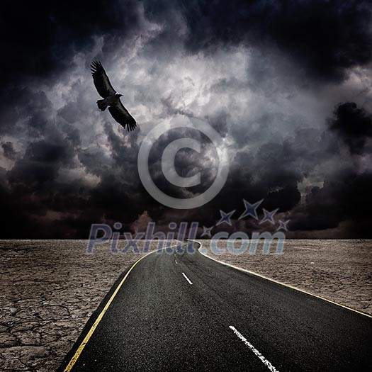 Storm, bird, road in desert Storm, bird, road in desert
