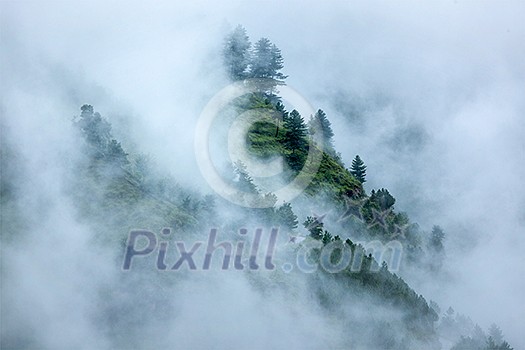 Peacful serene scenery - mountain forest trees in clouds in Himalayas. Kullu valley, Himachal Pradesh, India Peacful serene scenery - mountain forest trees in clouds in Himalayas. Kullu valley, Himachal Pradesh, India