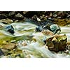 Mountain stream and rocks. Long exposure
