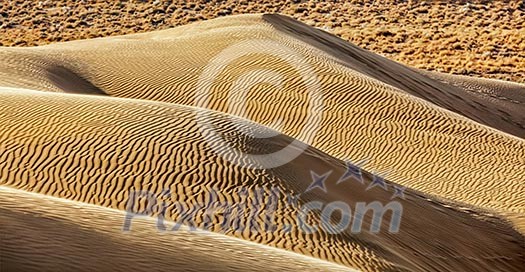 Dunes of Thar Desert. Sam Sand dunes, Rajasthan, India Dunes of Thar Desert. Sam Sand dunes, Rajasthan, India