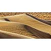 Dunes of Thar Desert. Sam Sand dunes, Rajasthan, India