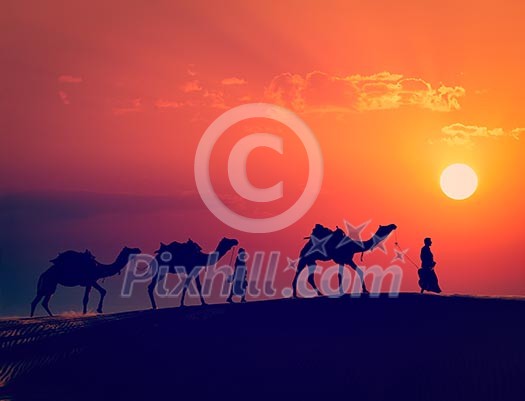 Vintage retro effect filtered hipster style image of Rajasthan travel - two indian cameleers camel drivers with camels silhouettes in dunes of Thar desert on sunset. Jaisalmer, Rajasthan, India Vintage retro effect filtered hipster style image of Rajasthan travel - two indian cameleers camel drivers with camels silhouettes in dunes of Thar desert on sunset. Jaisalmer, Rajasthan, India