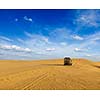 Desert safari - awd car in dunes. Thar desert, Rajasthan, India