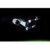 goalkeeper  soccer player people  on football stadium grass field