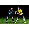 goalkeeper  soccer player people  on football stadium grass field