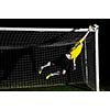 goalkeeper  soccer player people  on football stadium grass field
