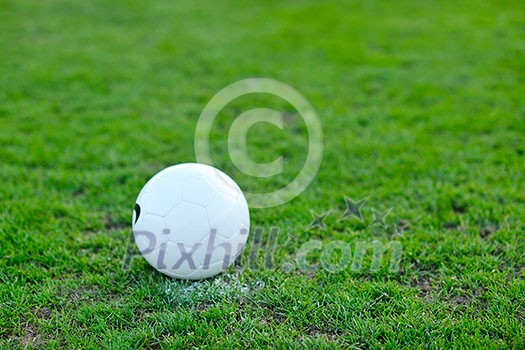 white Soccer ball on grass at goal and stadium in background white Soccer ball on grass at goal and stadium in background