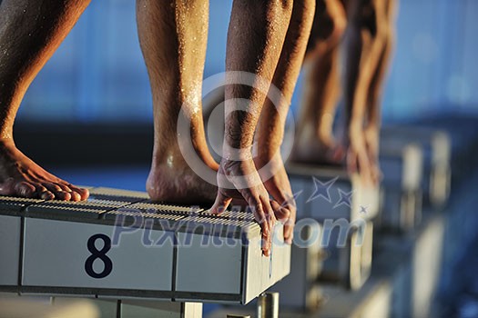 start position race concept with fit swimmer on swimming pool start position race concept with fit swimmer on swimming pool