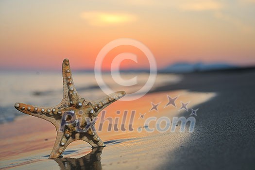 summer beach sunset with star on beach representing freedom freshnes and travel concept summer beach sunset with star on beach representing freedom freshnes and travel concept