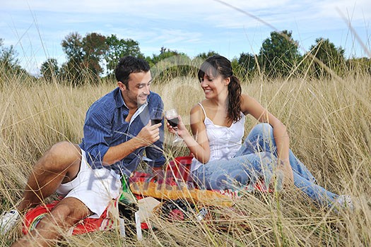 happy young couple enjoying picnic on the countryside in the field and have good time happy young couple enjoying picnic on the countryside in the field and have good time