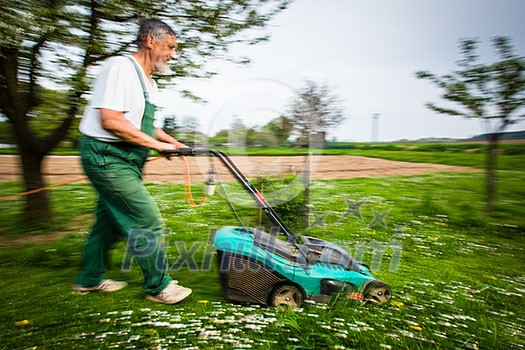 Senior man gardening in his garden (color toned image) Senior man gardening in his garden (color toned image)