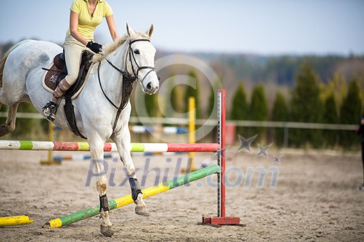 Young woman show jumping with horse Young woman show jumping with horse