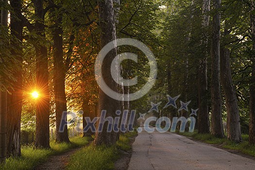 beautiful fresh morning with sun rays and dramatic light beautiful fresh morning with sun rays and dramatic light