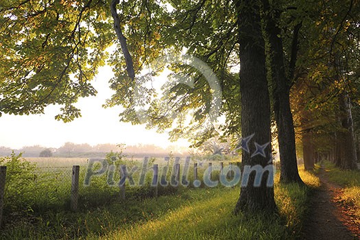 beautiful fresh morning with sun rays and dramatic light beautiful fresh morning with sun rays and dramatic light