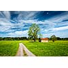 Parstoral European scene - rural road in summer meadow, tree and wooden shed. Bavaria, Germany