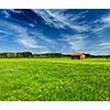 Summer meadow. Bavaria, Germany
