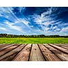 Wooden planks floor against peaceful summer meadow background